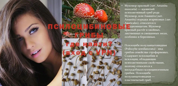 эйфоретик Алексеевка