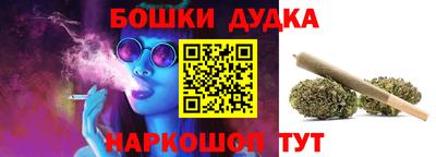МДПВ Лесосибирск