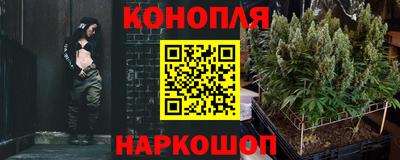 МДПВ Лесосибирск