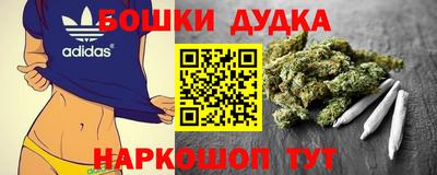 МДПВ Лесосибирск