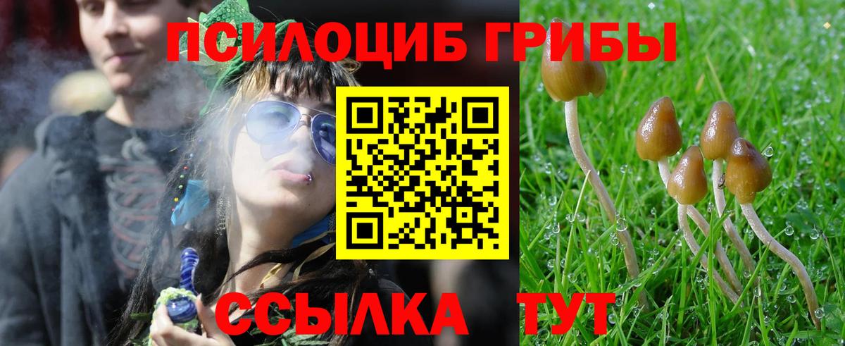 Волжский  магазин продажи наркотиков  Вход с VPN  Псилоцибиновые грибы MAGIC MUSHROOMS 